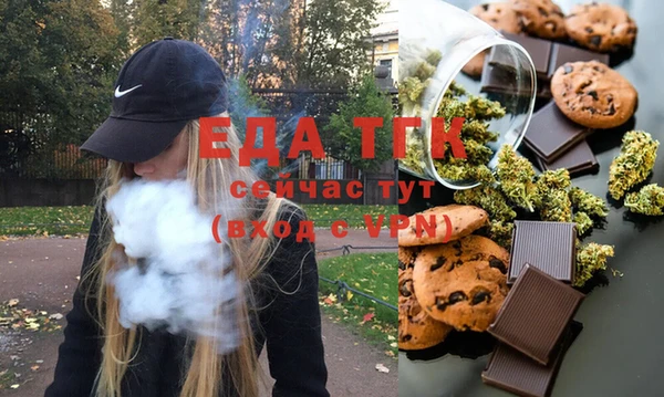 индика Надым