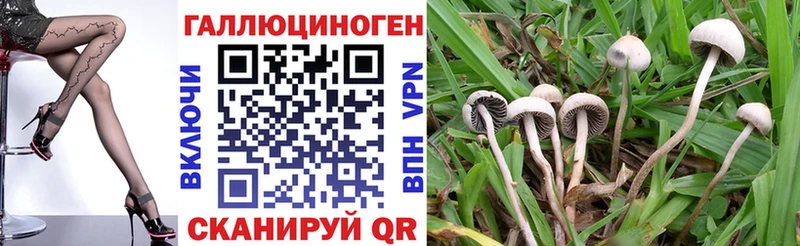 Галлюциногенные грибы Cubensis  ОМГ ОМГ ONION  Алушта 